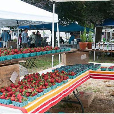 Farmer's Market with fruit